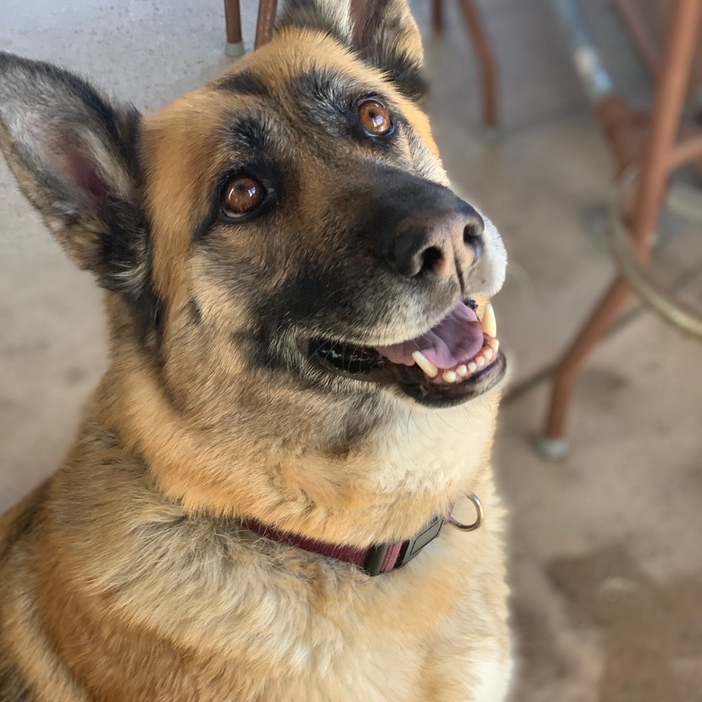 Meet your Posher, Cathy